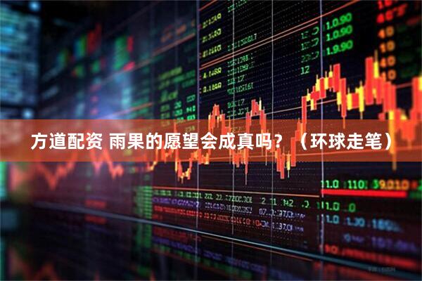 方道配资 雨果的愿望会成真吗？（环球走笔）